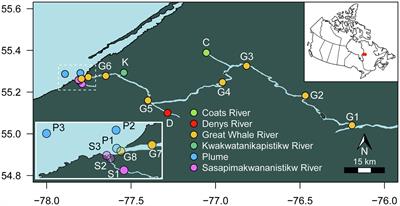 Size-Fractionated Microbiome Structure in Subarctic Rivers and a Coastal Plume Across DOC and Salinity Gradients